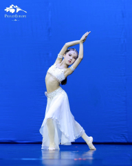 Nikiya Death Variation Ballet Tutu