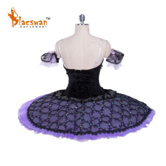 Sleeping Beauty Ballet Costume