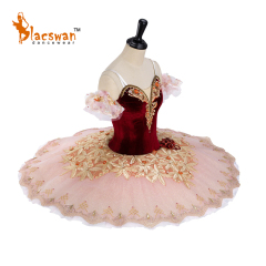 Swan Lake Ballet Tutu
