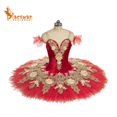 Swan Lake Dress