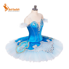 Don Quixote Costume
