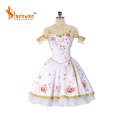 Bayadere Ballet Costume
