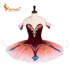 Paquita Ballet Tutu Dress
