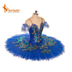 Ballerina Cinderella Costume