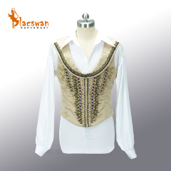 Swan Lake Ballet Costume