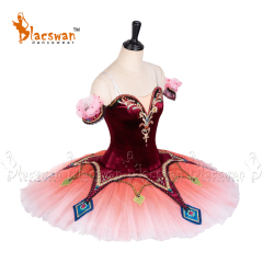 Paquita Ballet Tutu Dress