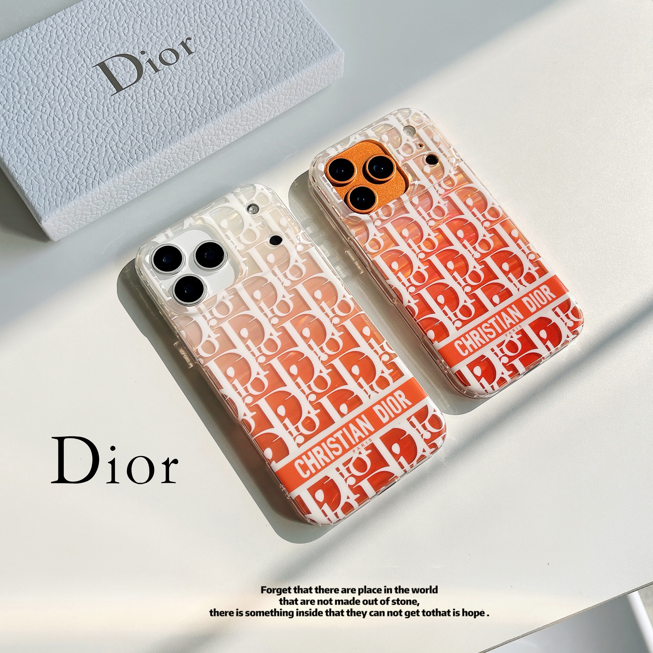 Christian Dior ケース Dior Phone Case Card Holder for iPhone 17 Series