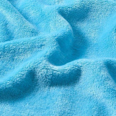 Coral Fleece Fabric