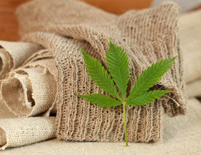 What is Hemp Fabric?