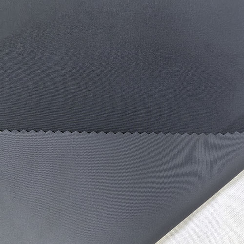 GFSBN2519 Nylon Functional Fabric