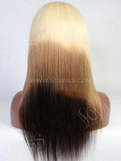 Straight Style Ombre Three Tone ColorHuman Hair Wig With 7 Days To Customize A4