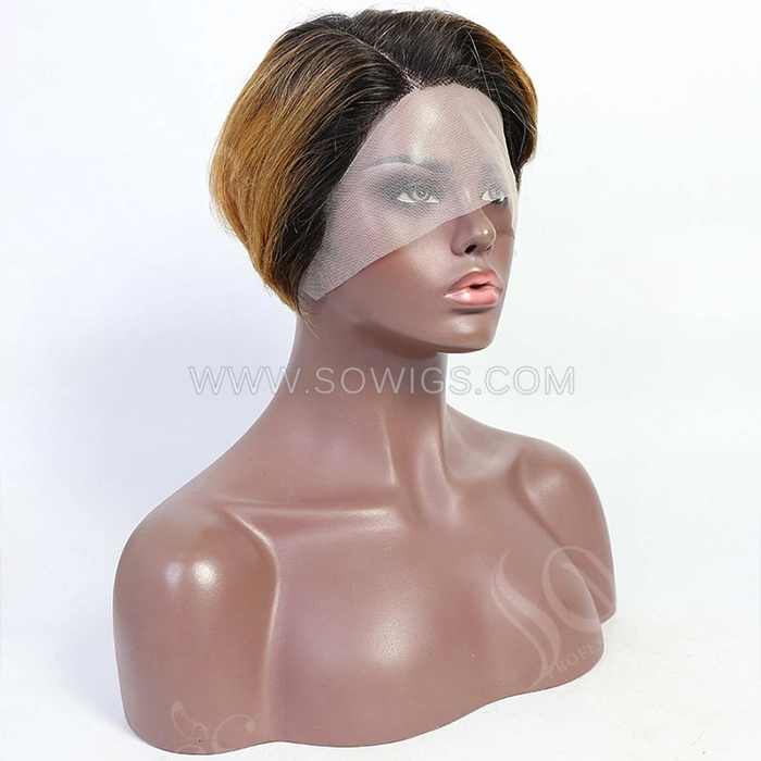 T1b/27 Color Straight Hair Bob Wigs 13*1 Lace Front Wigs 130% Density Virgin Human Hair Natural Hairline