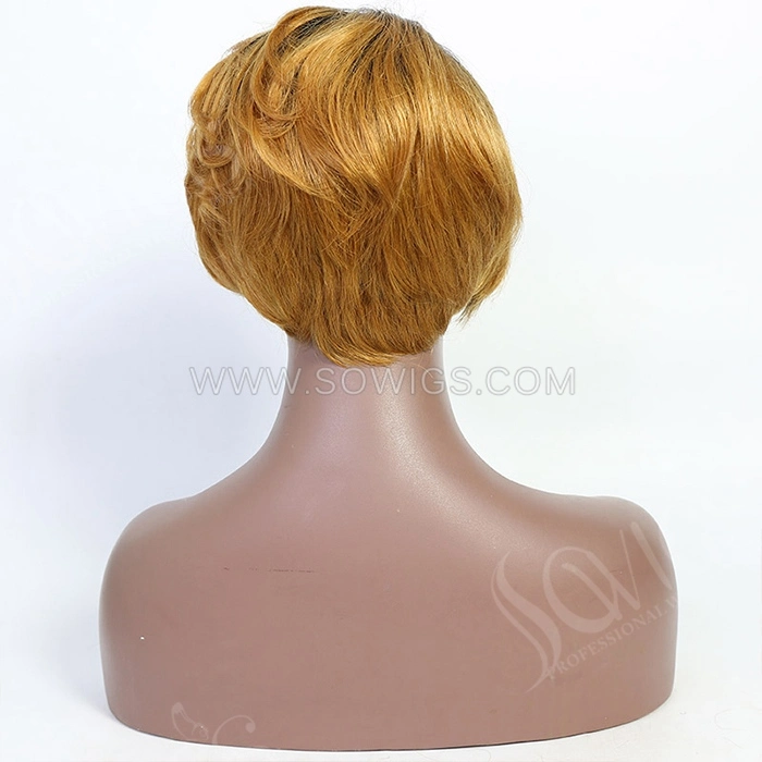 T1b/27 Color Straight Hair Bob Wigs 13*1 Lace Front Wigs 130% Density Virgin Human Hair Natural Hairline