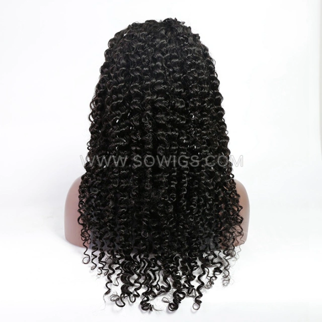 Italian Curly 13*4 Lace Front Wigs 180% Density Lace Wigs Virgin Human Hair Natural Color Natural Hairline