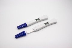 Digital Pregnancy Test