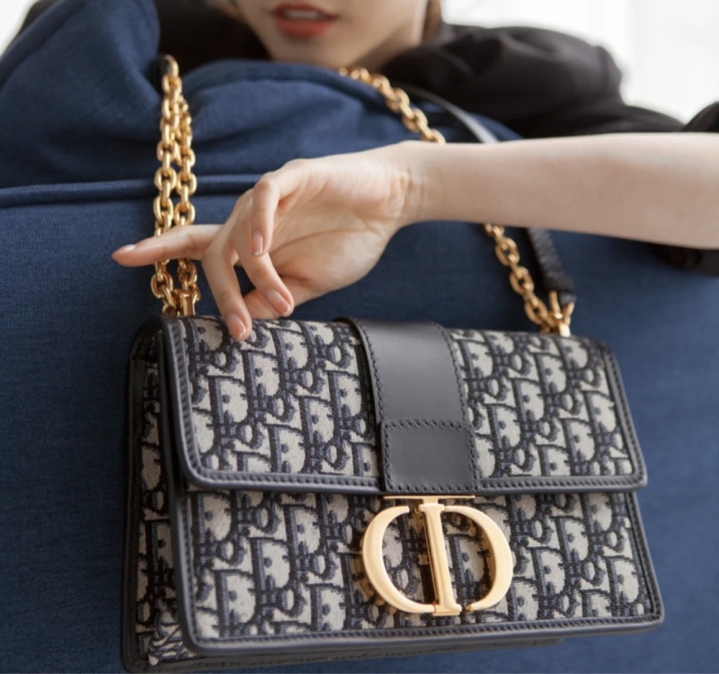 Dior Montaigne Collection Designer Oblique Handbags - PDA03