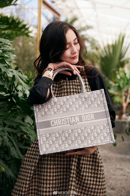 Dior Designer Handbags - PDA09