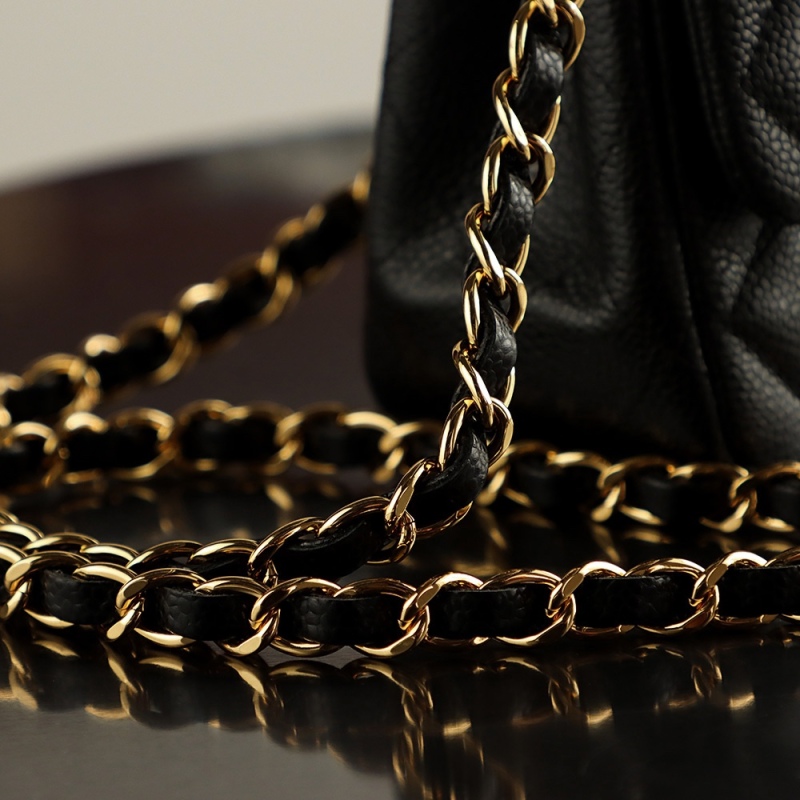 Chanel Designer Handbags - High End Fashion BCA3001