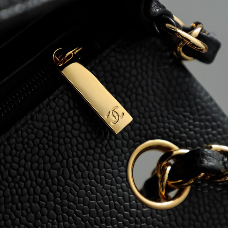Chanel Designer Handbags - High End Fashion BCA3002