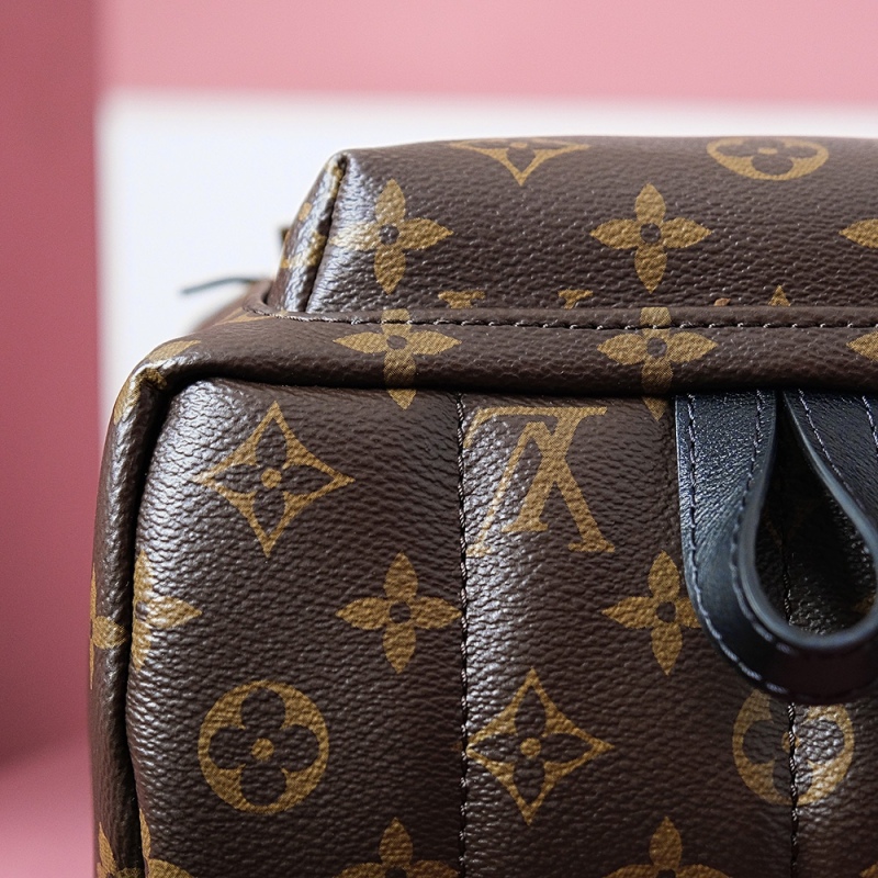 New Louis Vuitton 𝙋𝘼𝙇𝙈 𝙎𝙋𝙍𝙄𝙉𝙂 - LV M44871 Backpack Small BLA076