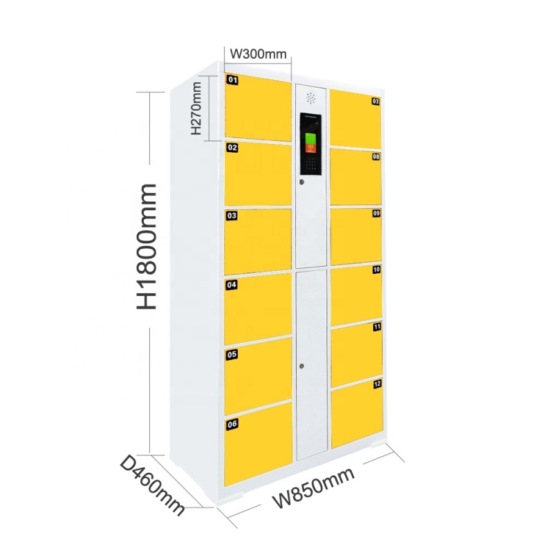 Face Recognition Electronic Locker 12 Doors Office/Station Intelligent Locker Customized