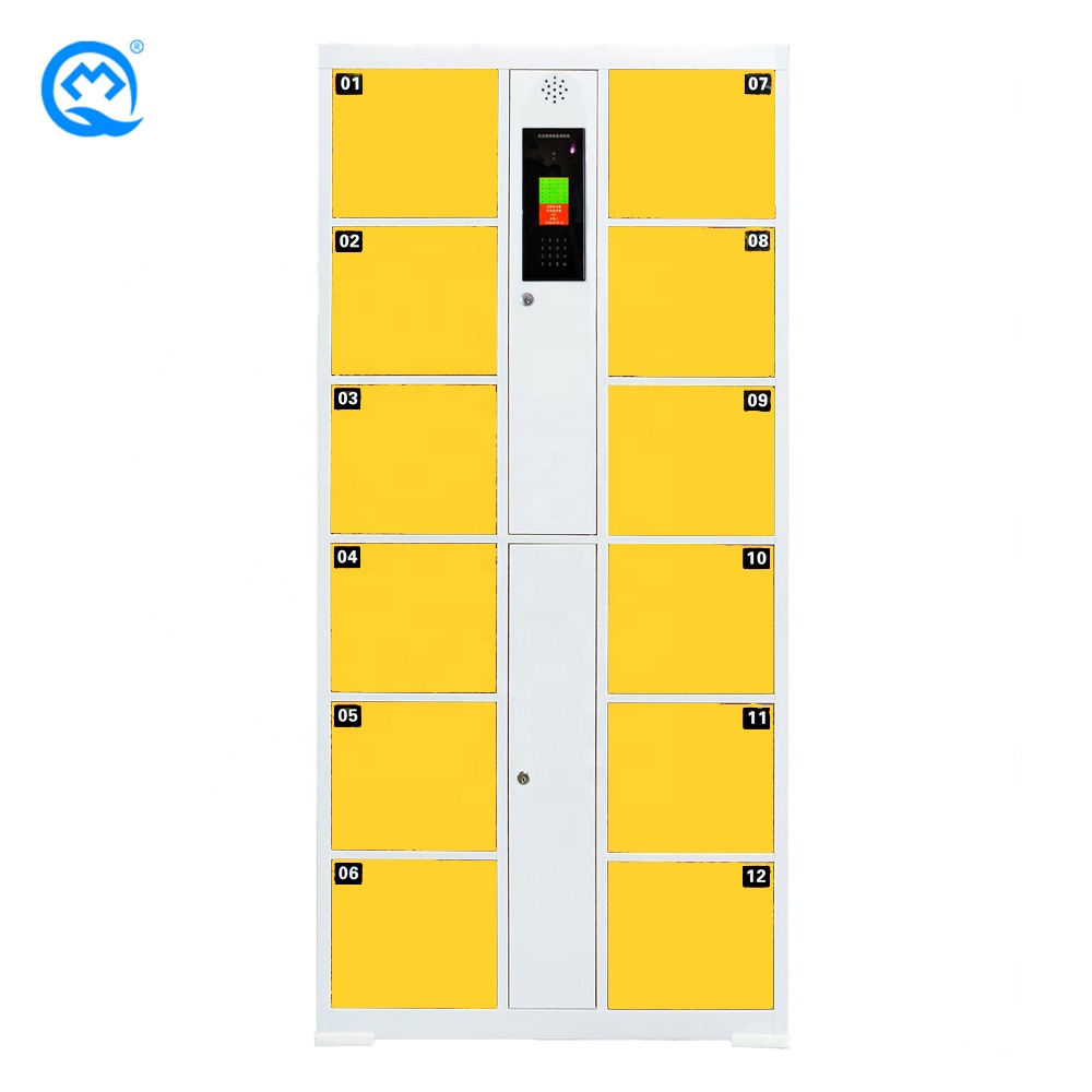 Face Recognition Electronic Locker 12 Doors Office/Station Intelligent