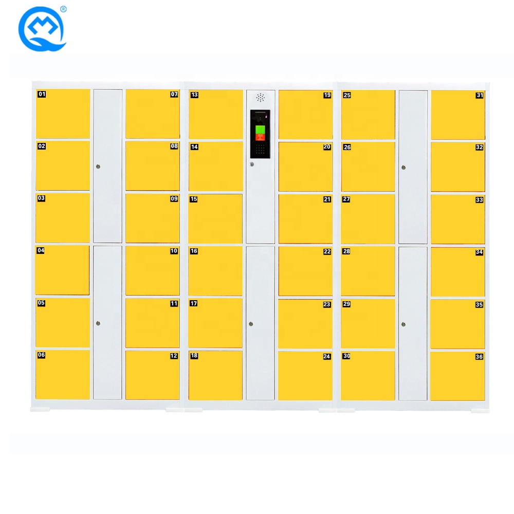 Locker 36 doors Hot Sale Face Recognition Cold Rolled Steel Golf Club / Gym Electronic Locker