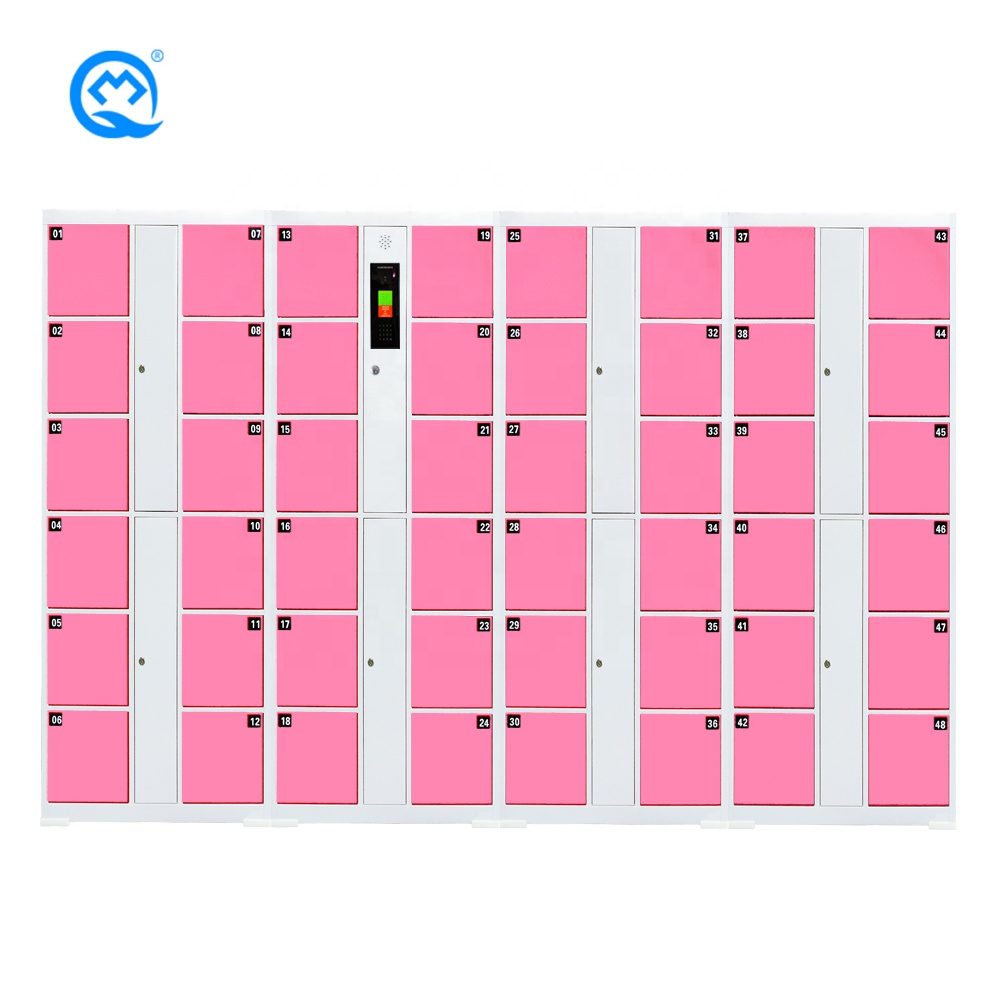 Swimming Pool Locker High Quality 48 doors Face Recognition Cold Rolled Steel Plate Electronic Locker