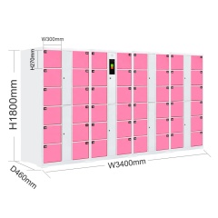 Swimming Pool Locker High Quality 48 doors Face Recognition Cold Rolled Steel Plate Electronic Locker