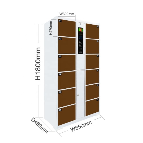 Intelligent Electronic locker High Quality Cold Rolled Steel Fingerprint Recognition 12 doors Locker For Supermarket/School