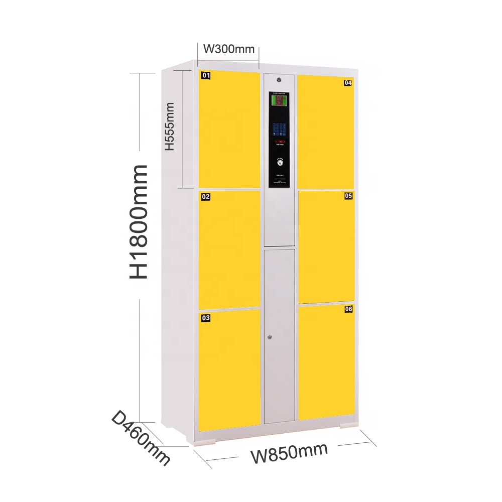 Several Optional 6 doors Cold Rolled Steel smart RFID parcel locker box Electronic Storage digital key Locker cabinet