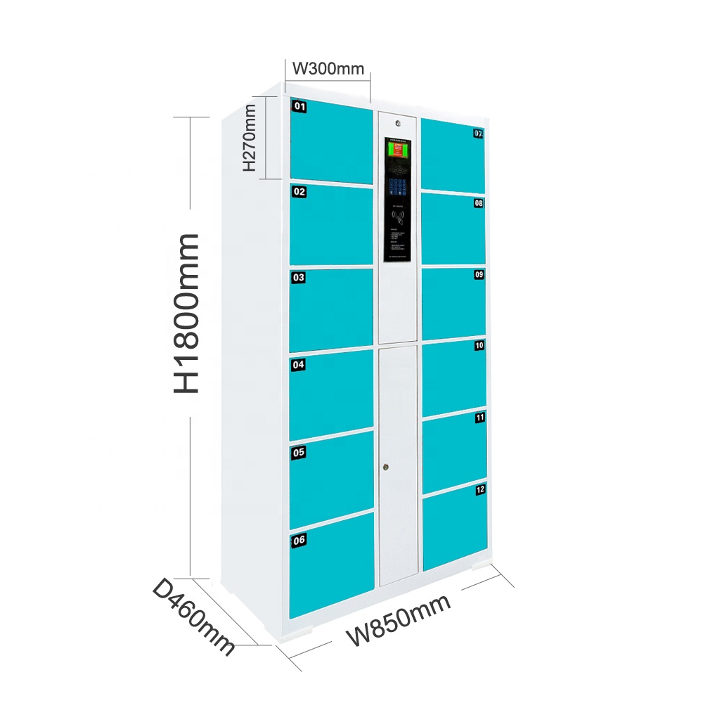 Intelligence parcel Locker 12 Door Supermarket/Dormitory Swipe Card Water Park Locker Electronic