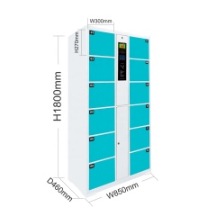Intelligence parcel Locker 12 Door Supermarket/Dormitory Swipe Card Water Park Locker Electronic