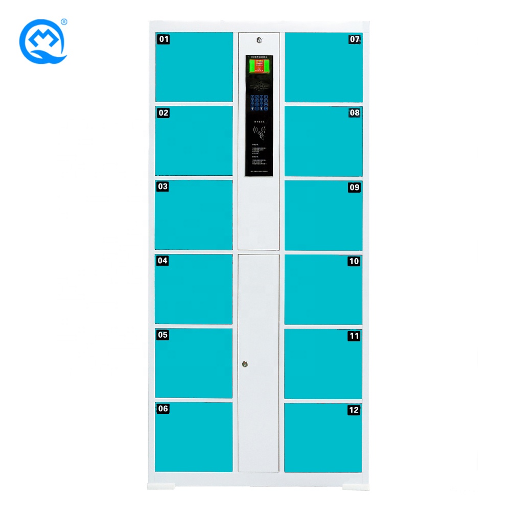 Intelligence parcel Locker 12 Door Supermarket/Dormitory Swipe Card Water Park Locker Electronic