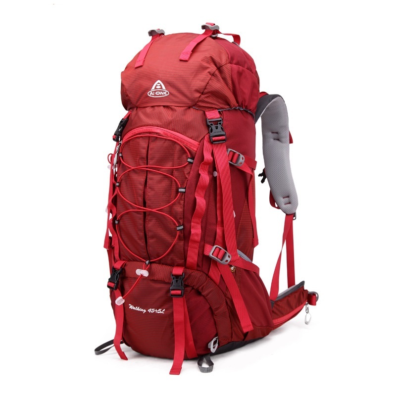 TETON Sports Explorer Backpack Full Internal Frame - Adjustable Backpacking Travel Gear - Water-Repellant Rainfly Cover, Sleeping Bag & 3-Liter Hydration Bladder Pack Storage - Graphite, 50L