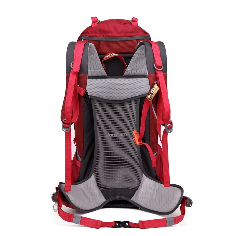 TETON Sports Explorer Backpack Full Internal Frame - Adjustable Backpacking Travel Gear - Water-Repellant Rainfly Cover, Sleeping Bag & 3-Liter Hydration Bladder Pack Storage - Graphite, 50L