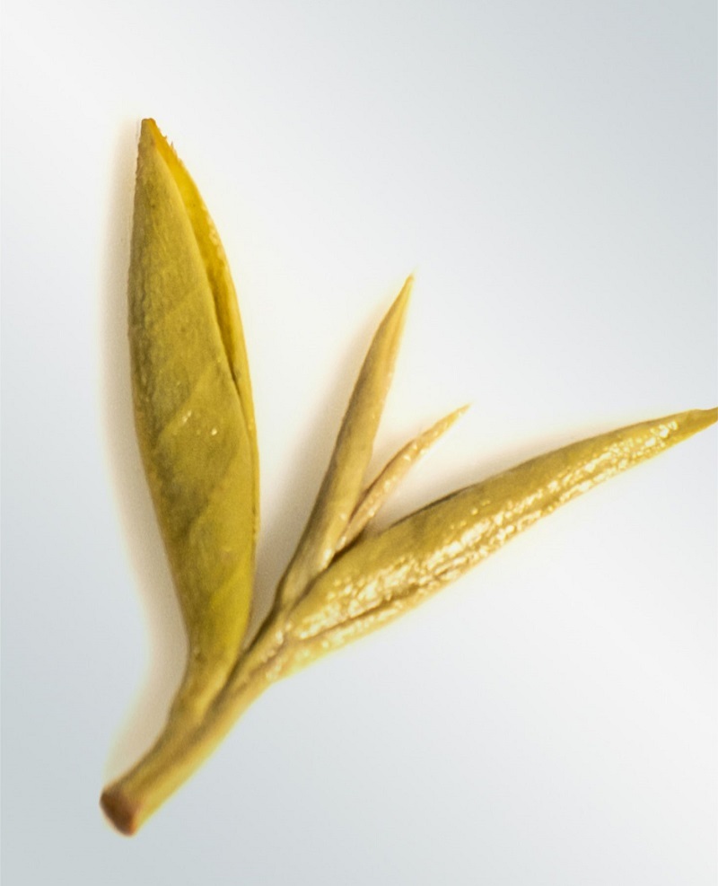 White Tea China Tea Premium White Silver Needle Tea Organically Grown in Fujian China Superior Chinese Silver Needle White Tea Low Caffeine 7 Years Storage