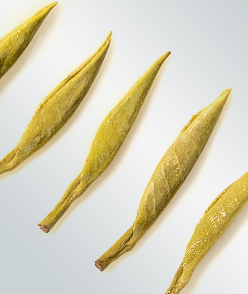 White Tea China Tea Premium White Silver Needle Tea Organically Grown in Fujian China Superior Chinese Silver Needle White Tea Low Caffeine 7 Years Storage