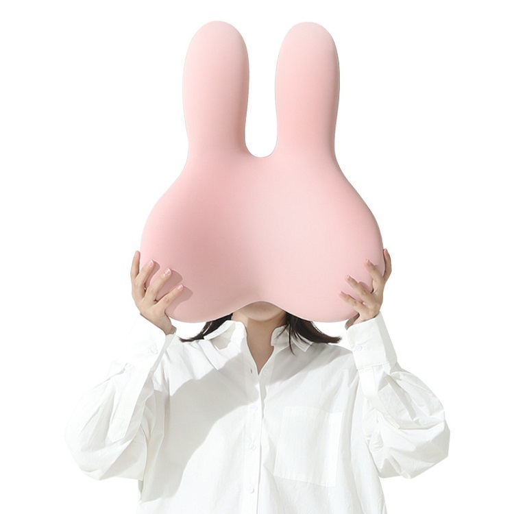 Office And Car  Pillow