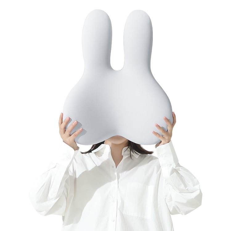 Office And Car  Pillow
