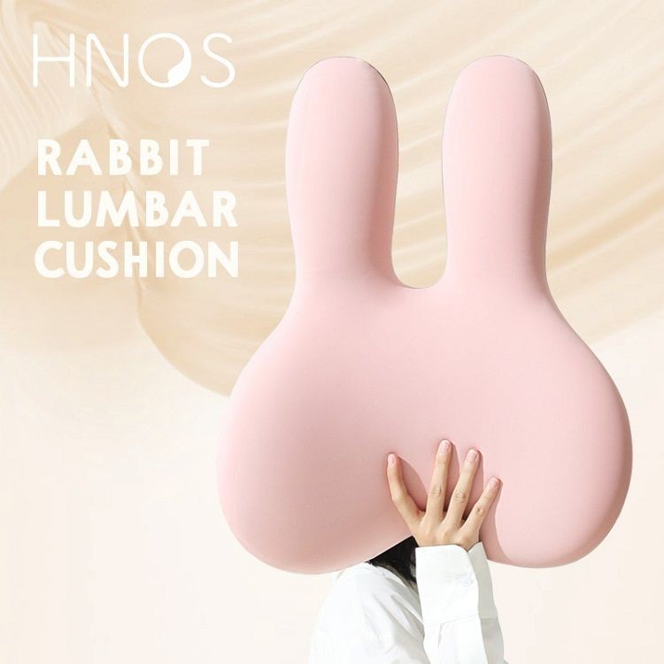 Office And Car  Pillow