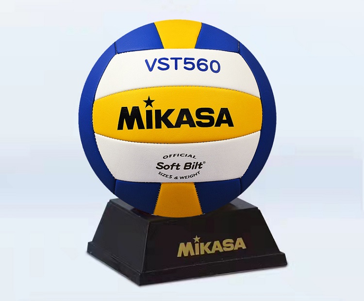 Professional volleyball