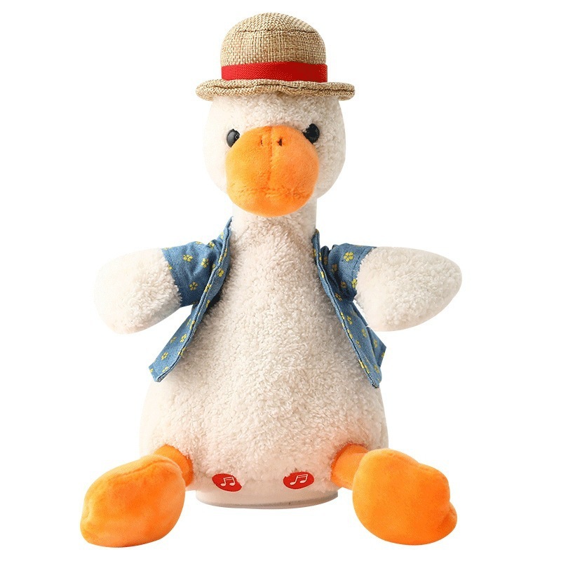 Sand Carving Reapeat Duck