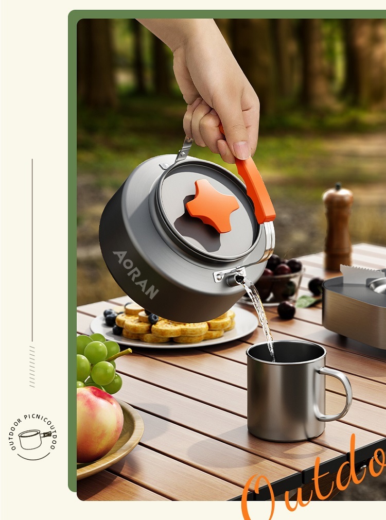 Portable outdoor cooker