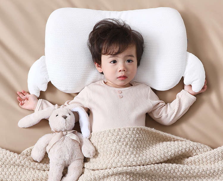 Antibacterial And Mite Resistant Pillow