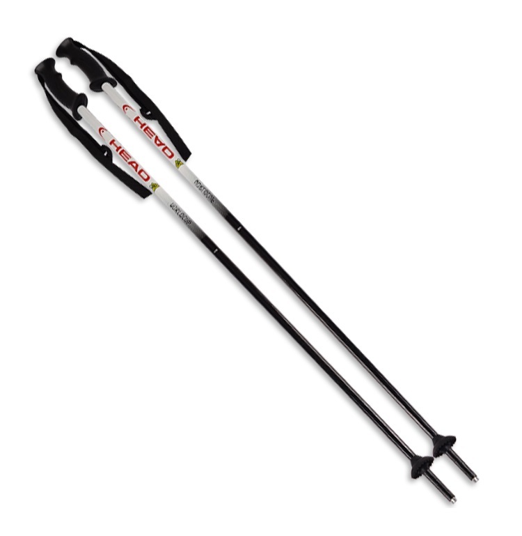 Double ski pole