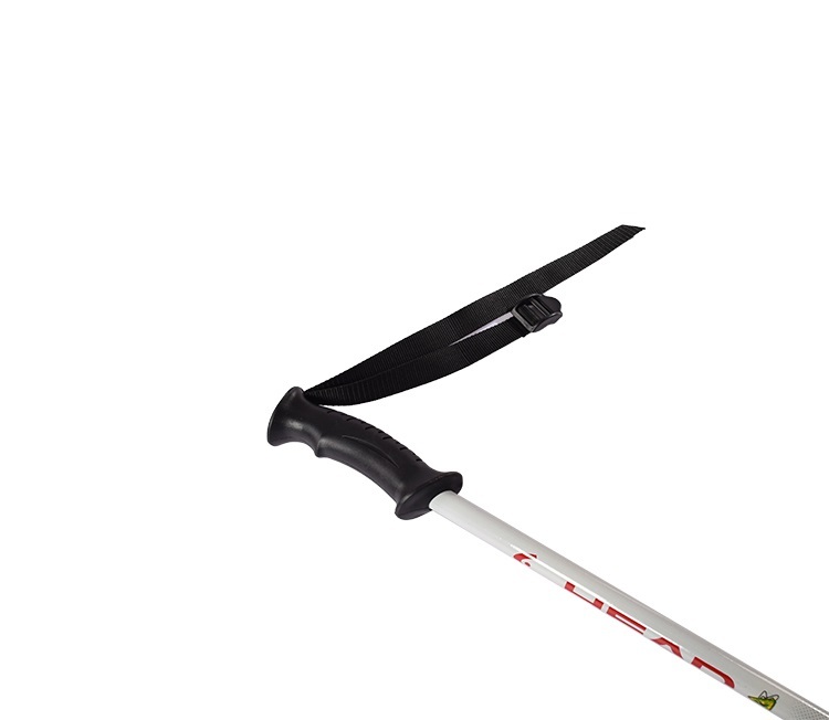 Double ski pole