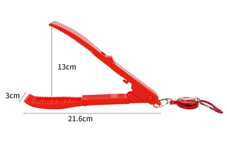 Multifunctional fish forceps