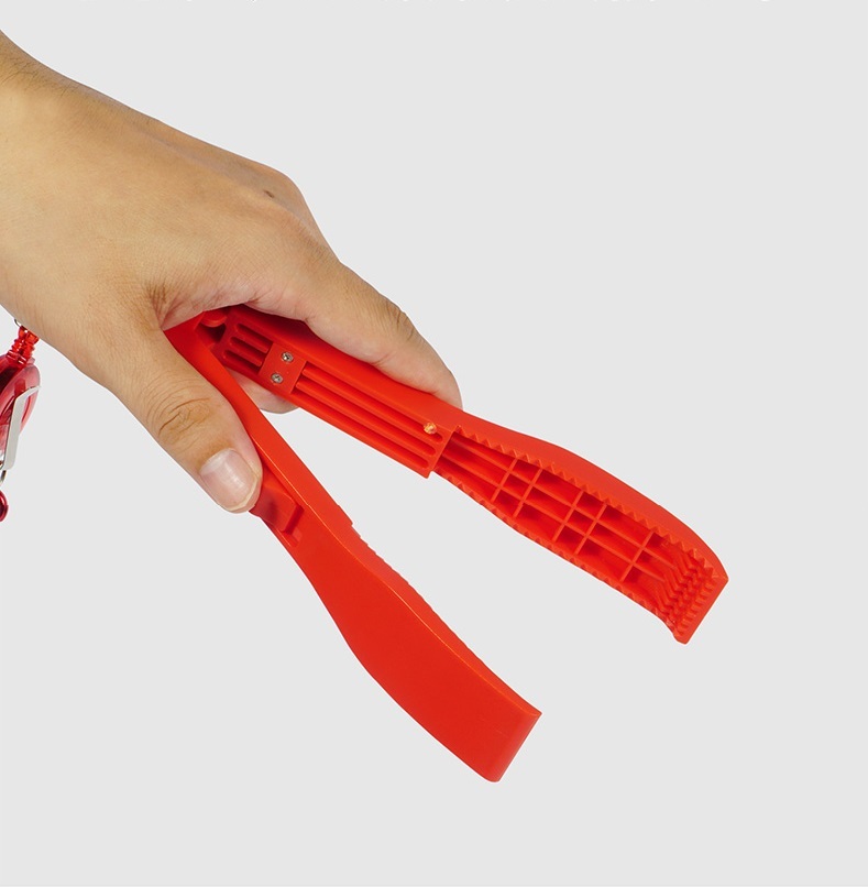 Multifunctional fish forceps