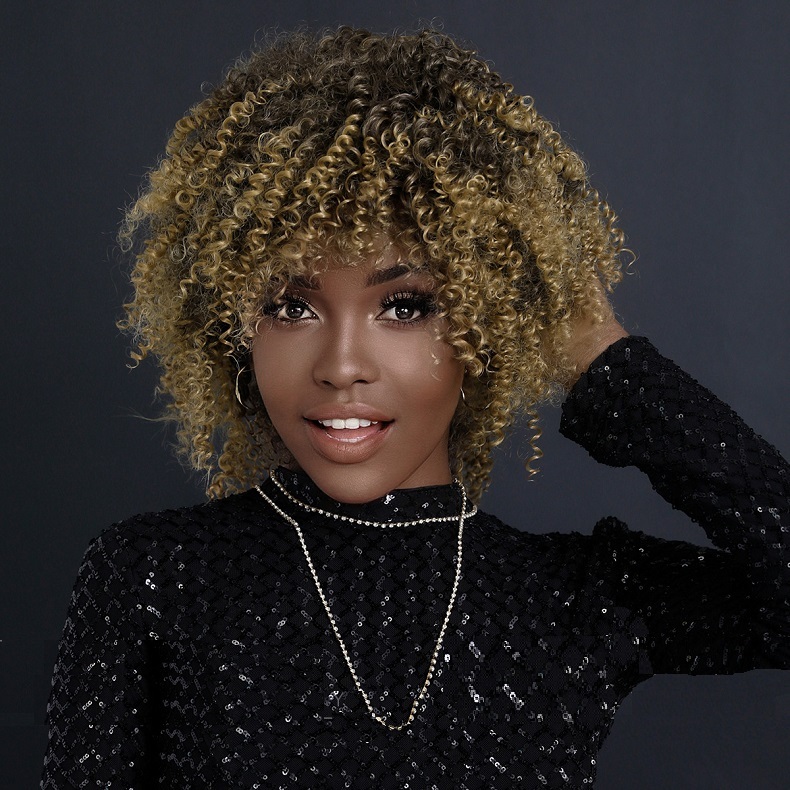 African Curly Afro Wig